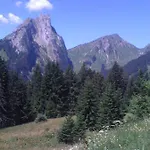 Latitude 47 Chalet