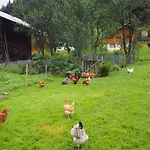 Latitude 47 Alpesi faház *